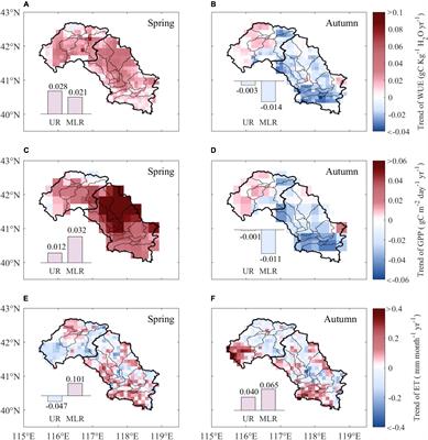 Effects of Vegetation Phenology on Ecosystem Water Use Efficiency in a Semiarid Region of Northern China